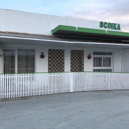 Pensiunea Scoika Steaguri ネプトゥン エクステリア 写真